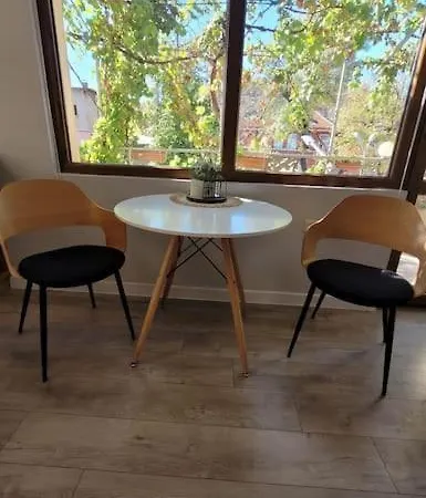 Elegant Loft Studio Terrace פלובדיב