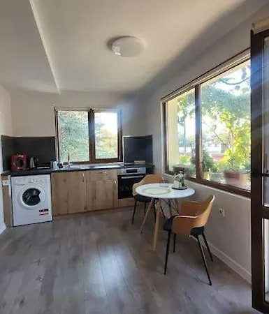 Elegant Loft Studio Terrace Appartamento Plovdiv